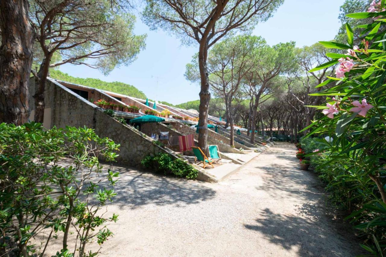 Apartment Dunelba Marina di Campo